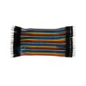 Cable Doble Macho
