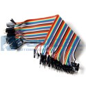Cable Doble Macho 20cm