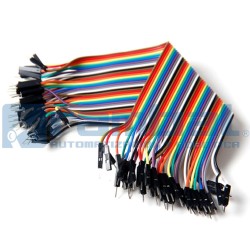 Cable Doble Macho 20cm