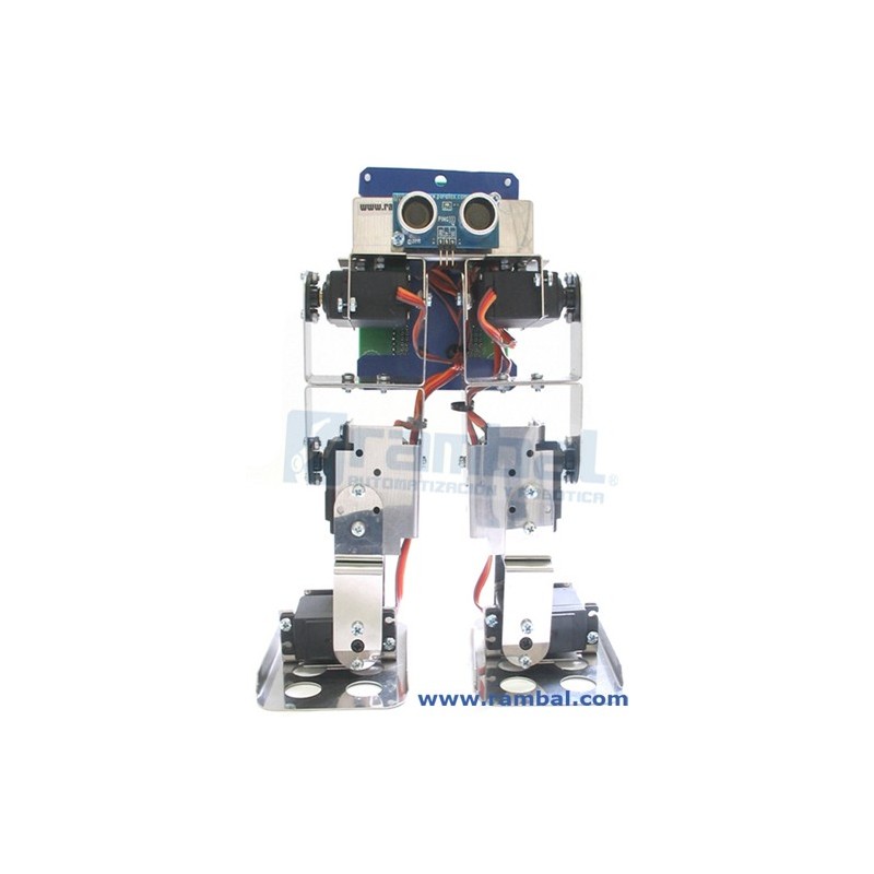 BIPEDUS-06