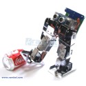 BIPEDUS-04 ( METAL CHASSIS) + CD-ROM