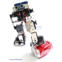 BIPEDUS-04 ( METAL CHASSIS) + CD-ROM