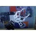 Metallic Robotic Arm 6 DOF v1