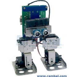 BIPEDUS-04 ( METAL CHASSIS) + CD-ROM