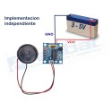 Modulo Grabacion y Reproduccion de Audio