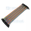 Cable dupont 20 cms (hembra-hembra)
