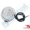 Motor Corriente Alterna TYC-50 220VAC 5rpm