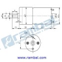 Motor DC 108RPM, Engranaje Alto Torque 3-18 Vdc