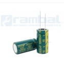 Condensador electrolítico 10.000uF 16V
