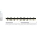 Regleta Male Headers- PIN 40 Pines